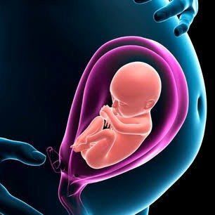 Ultrasound Scanning